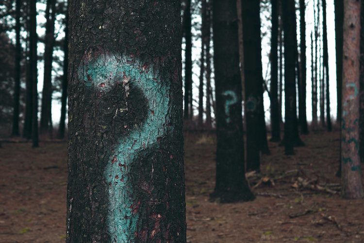 The Truth about Integrating Sage 300 with Sage CRM