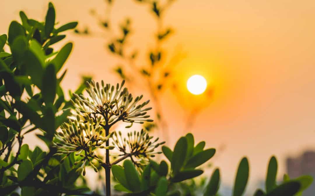 Sage CRM 2019 R1: A New Dawn for Sage CRM