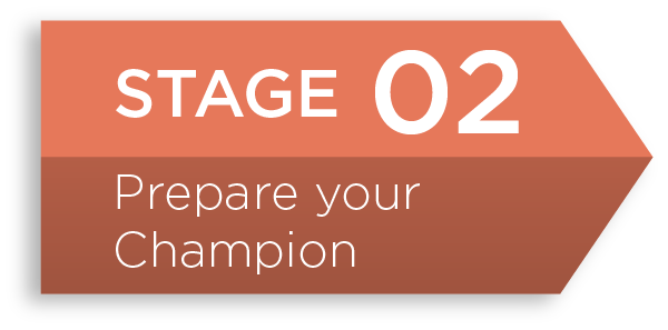 Ontrack-for-Microsoft-Dynamics-365-CRM-prepare-your-champion