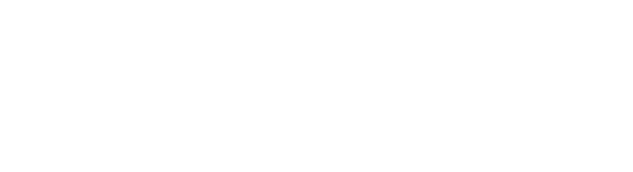 Microsoft Partner Program Icon